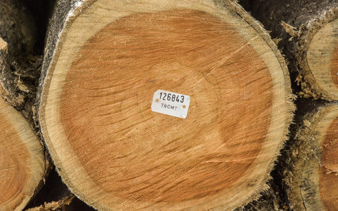 FSC® produz impactos ambientais positivos