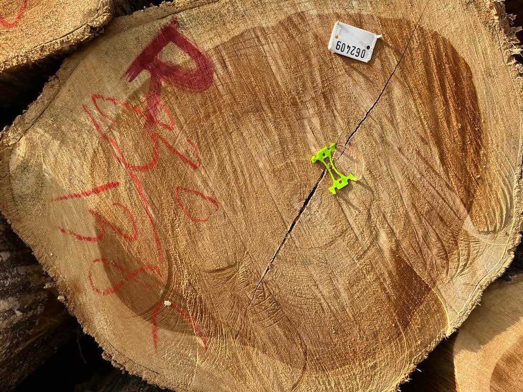 antirracha logx aplicado